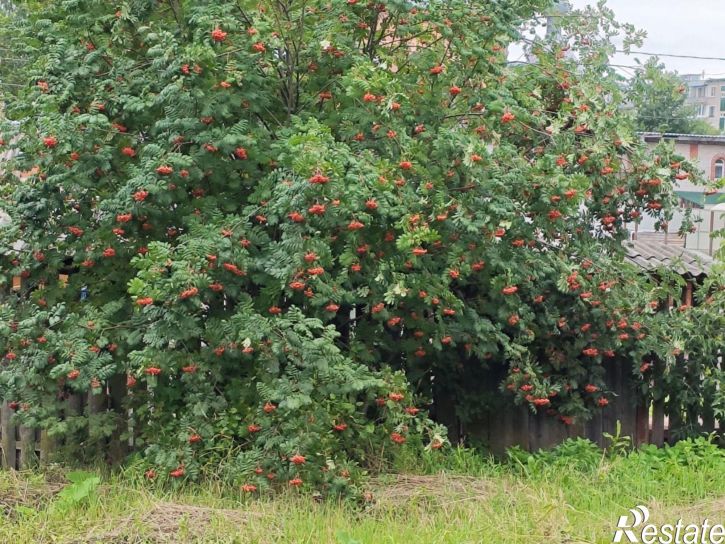 Земельный участок ул Колхозная, 52,  д. 52